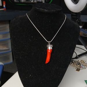 925 Chain With Red Horn Good Luck Charm